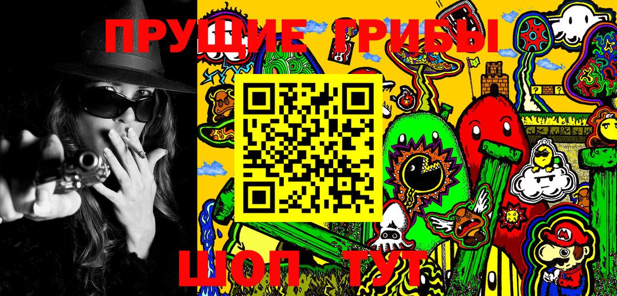 Елабуга  где купить наркоту  Вход с VPN  Галлюциногенные грибы Psilocybe 